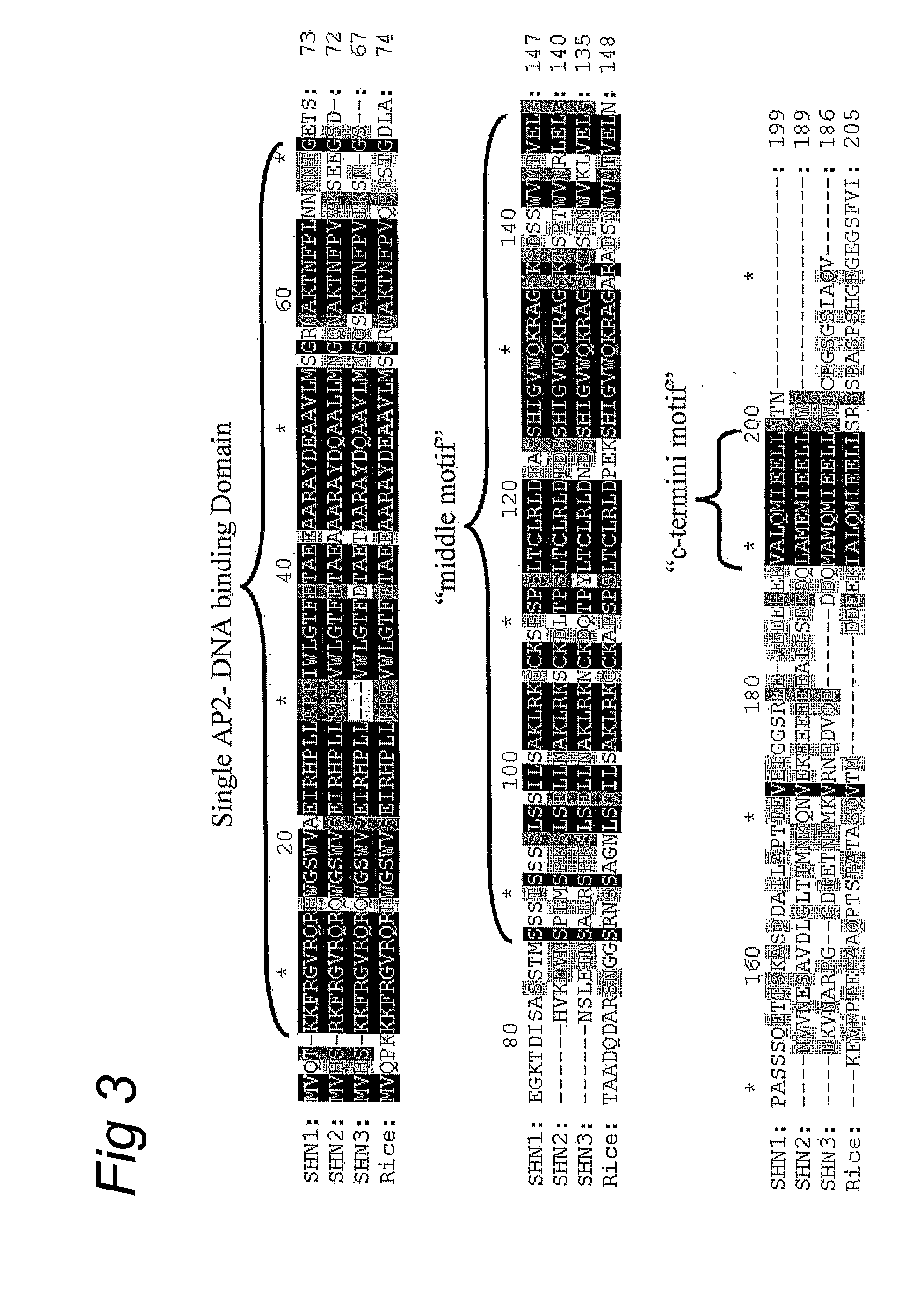 Shine clade of transcription factors and their use