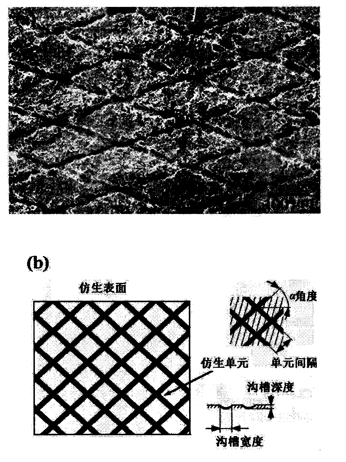 Method and device for compositely preparing surface-layer biomimetic structure by laser