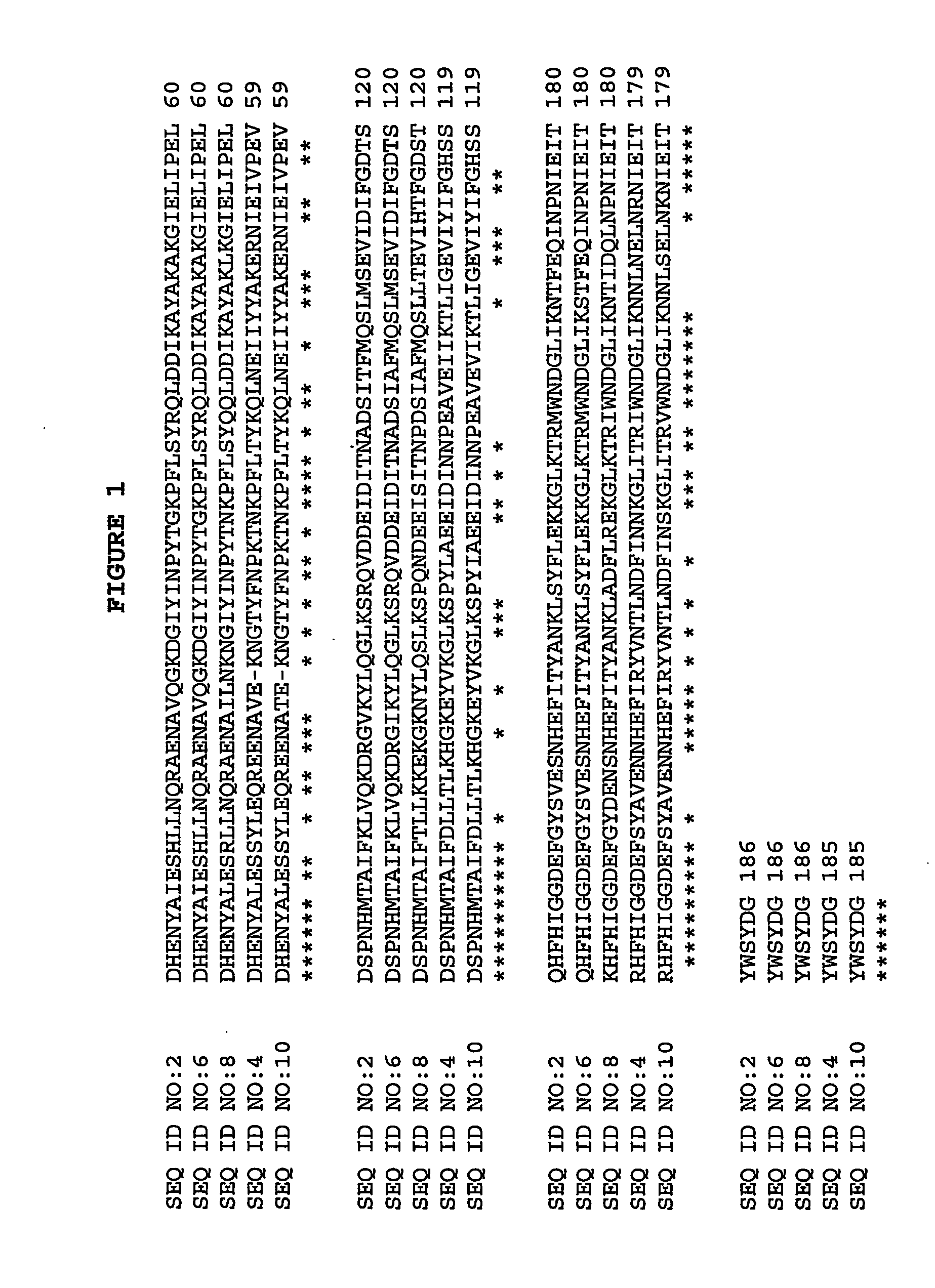 Compositions and methods for enzymatic detachment of bacterial and fungal biofilms