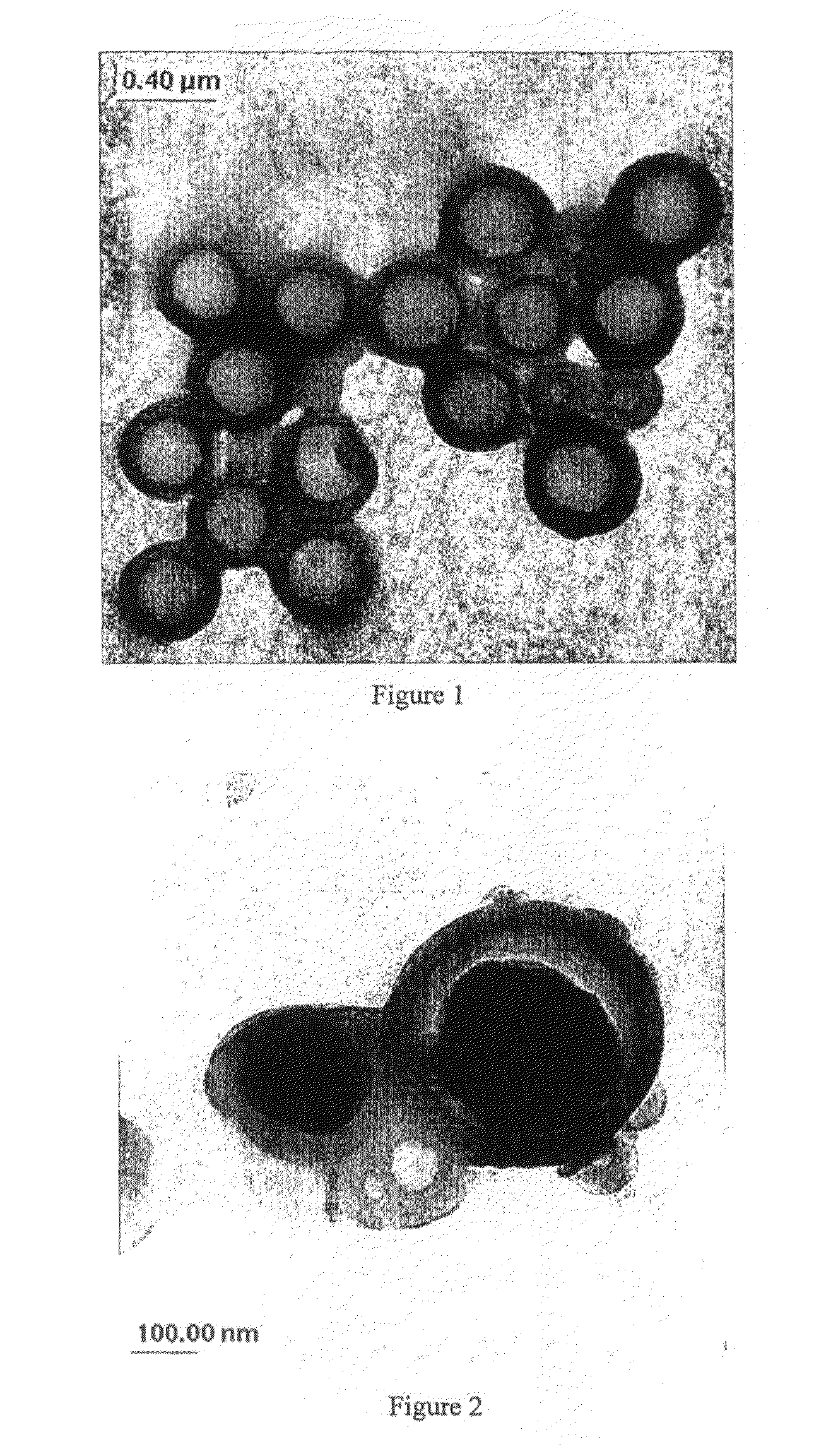 Vesiculated polymer particles