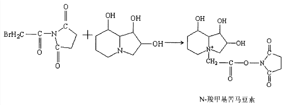 ELISA (enzyme-linked immuno sorbent assay) detection method of rabbit swainsonine-resistant antibody, and kit