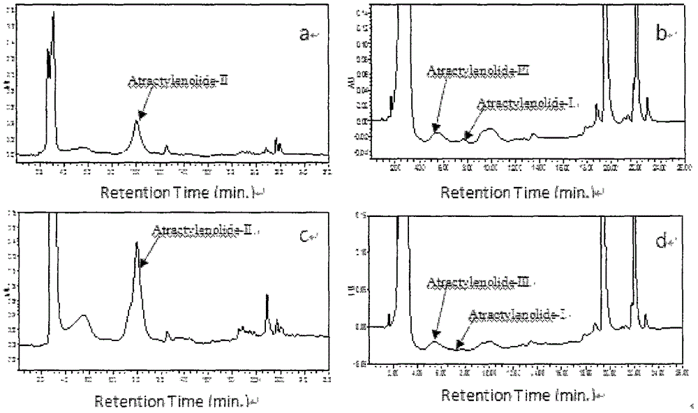 New chrysanthemum indicum uses for promoting synthesis of atractylenolide component in atractylodes macrocephala koidz polysaccharide