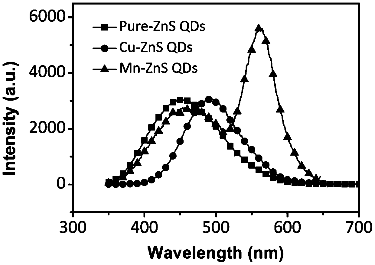 A kind of preparation method and application of cu-mn double-doped zns quantum dot solution
