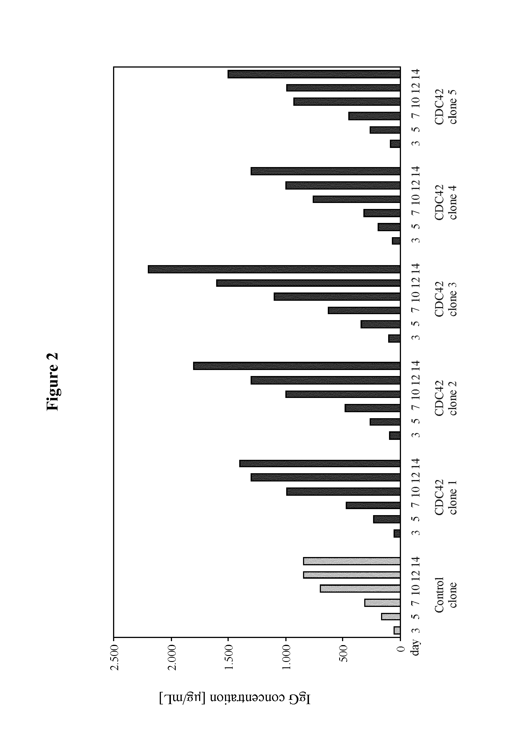 Enhancement of protein production yield mediated by a fast shuttling cdc42 gtpase