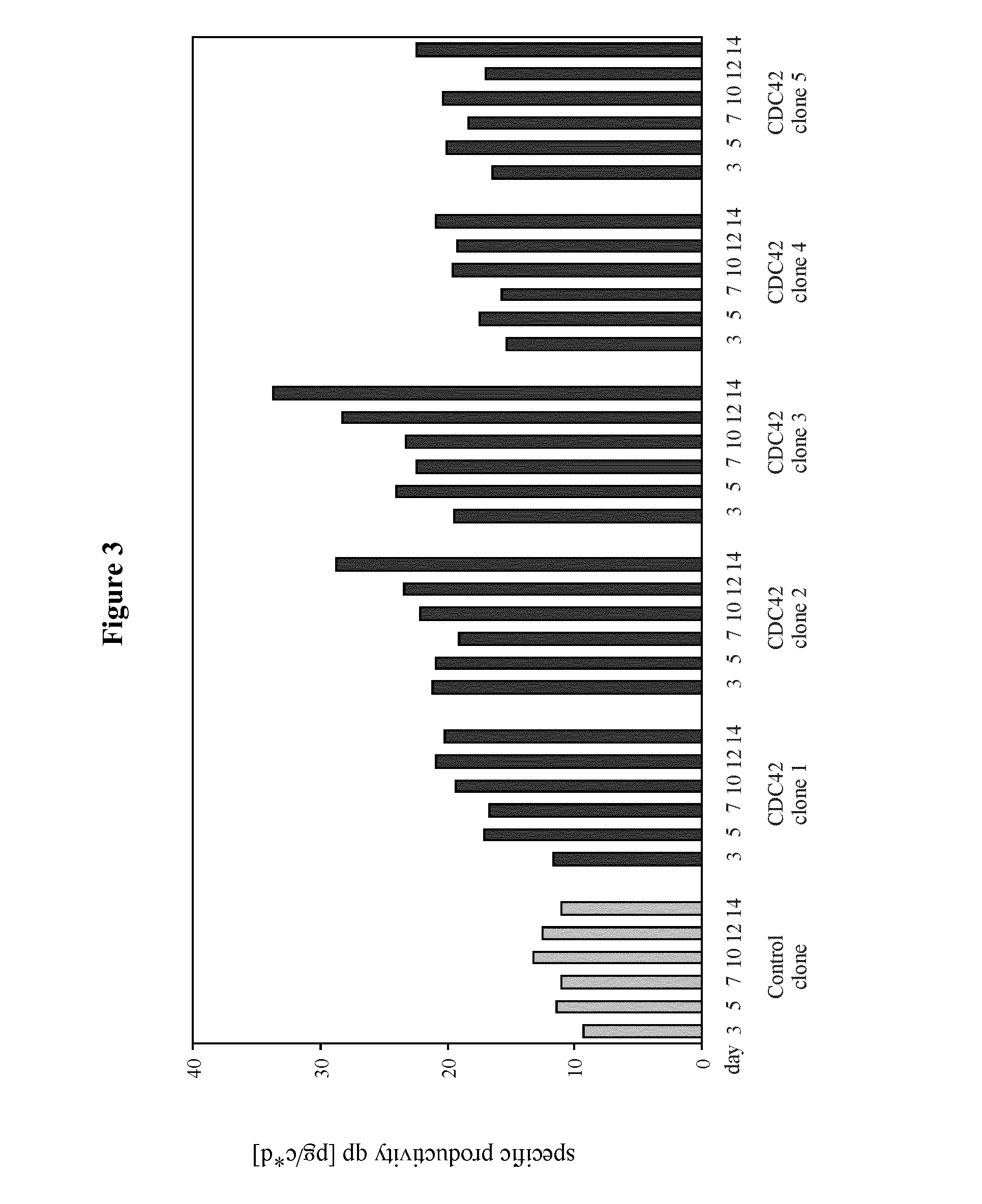 Enhancement of protein production yield mediated by a fast shuttling cdc42 gtpase