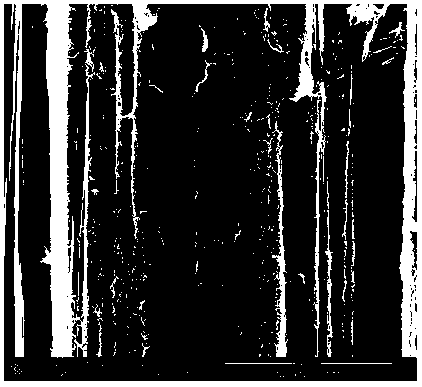 Method for surface modification of carbon fibers by sizing agent containing carbon nanomaterials