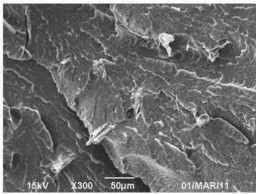 Nylon 6/plant fiber composite material and preparation method thereof