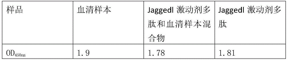 Jaggedl agonist polypeptide and application thereof