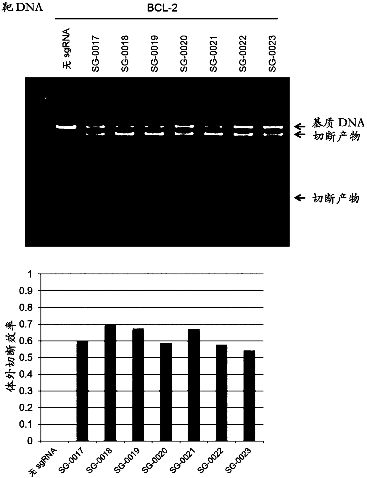 Artificial single guide RNA and use thereof