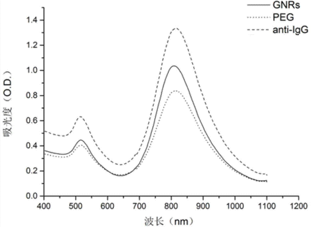 Novel functionalized gold nanorod immune probe as well as preparation method and application of gold nanorod biological chip