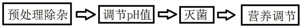 Nicotine liquid culture medium, application and activation fermentation device