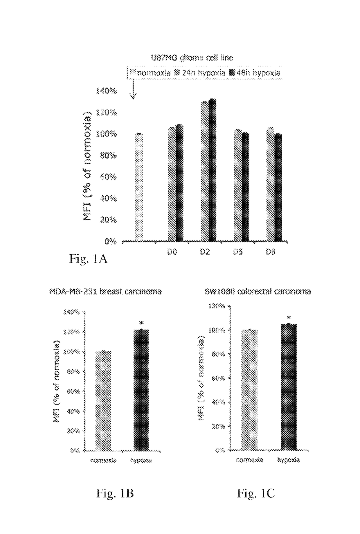 Methods and Compositions for Improving Antiangiogenic Therapy with Anti-Integrins
