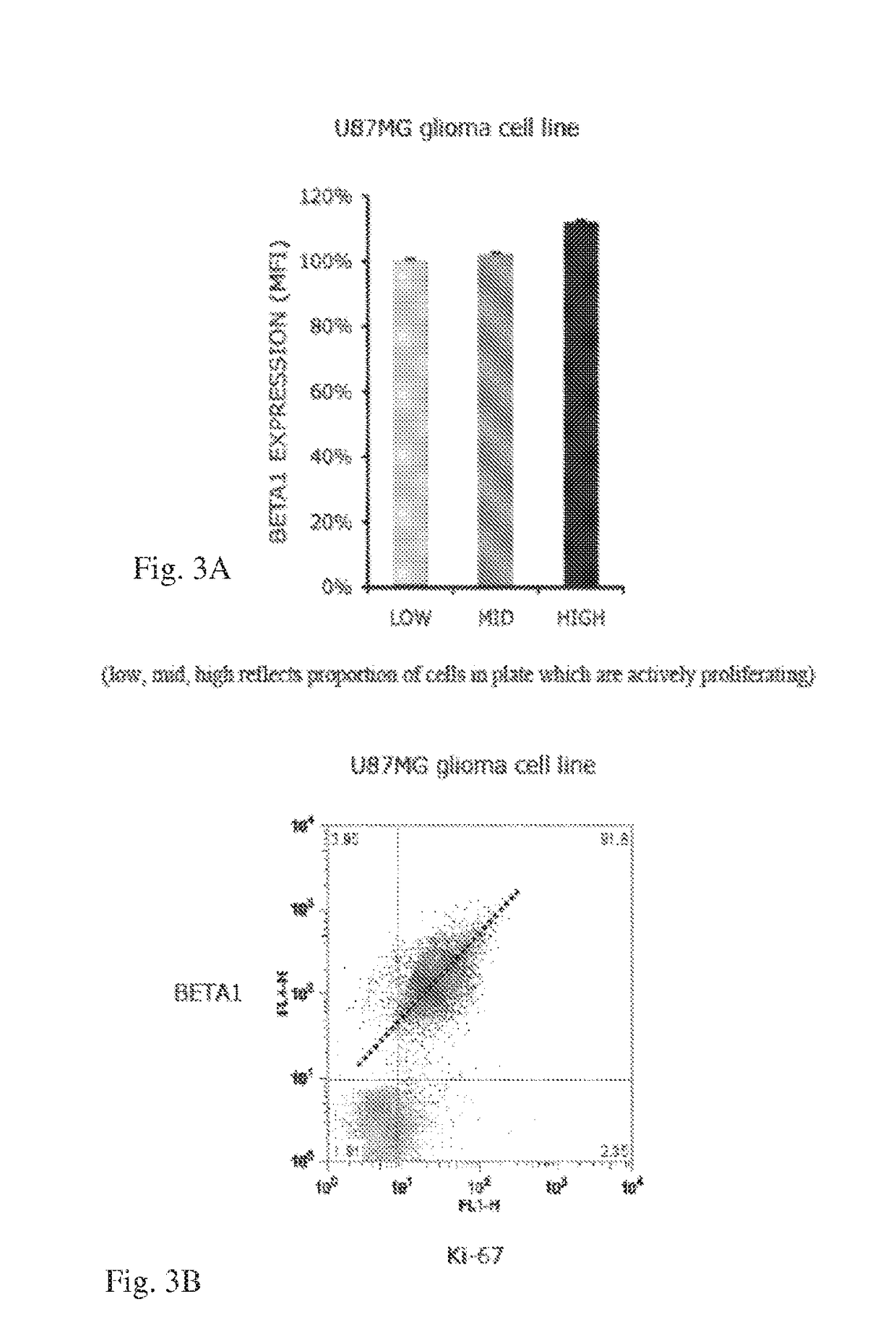 Methods and Compositions for Improving Antiangiogenic Therapy with Anti-Integrins