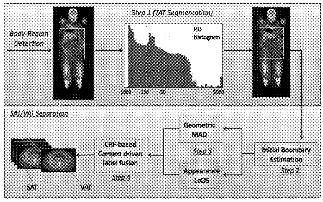 System and method for image-based quantification of white and brown adipose tissue at the whole-body, organ and body-region levels