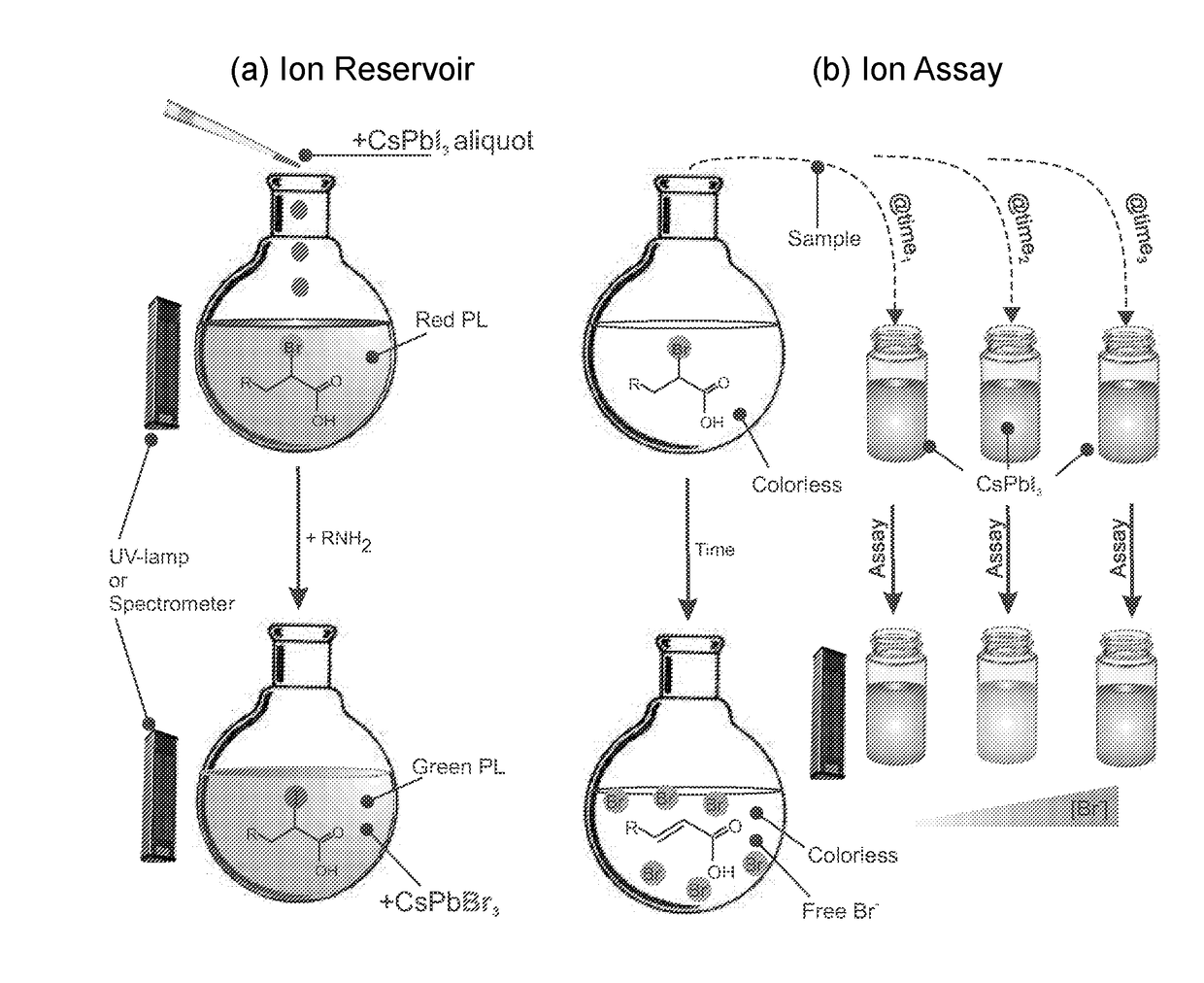 System and method for visualizing chemical reactions in real time