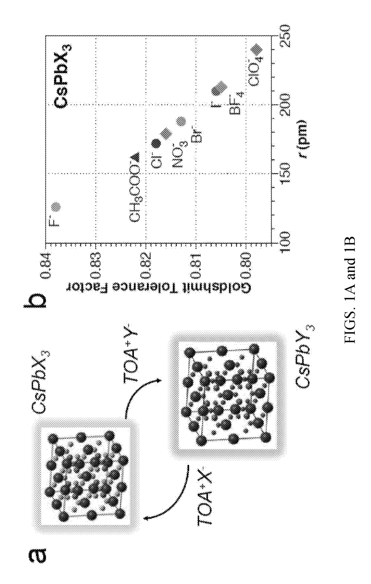 System and method for visualizing chemical reactions in real time