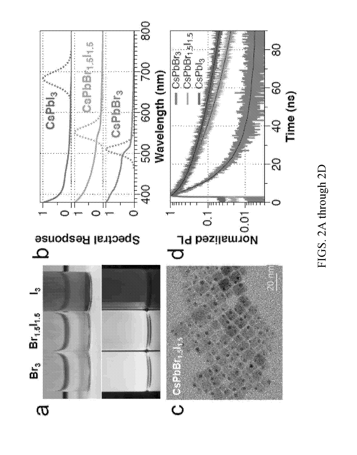 System and method for visualizing chemical reactions in real time