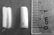 Virus removal and rapid propagation method for stem tips of dracaena sanderiana