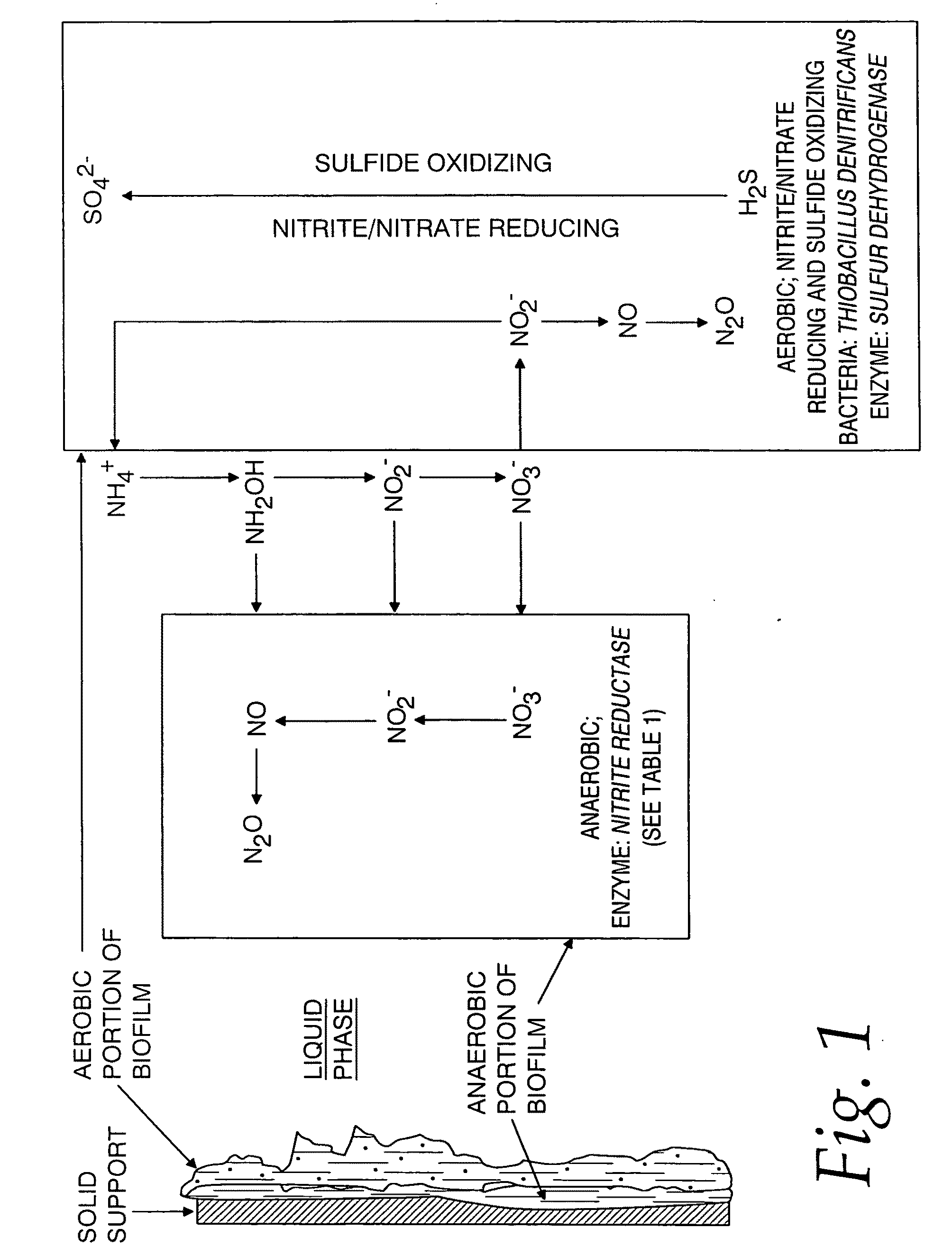 Enzymatically active compositions for suppressing sulfide generation and methods of use thereof