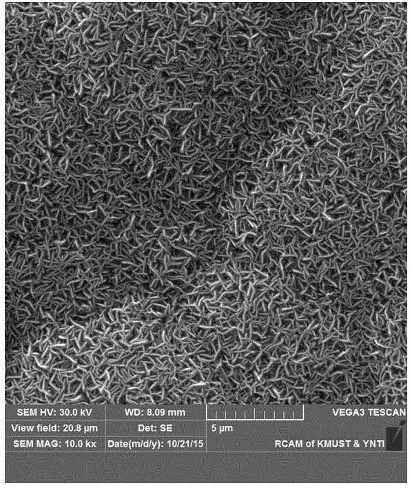 Method for electrochemically synthesizing alpha-PbO2 on rotating disk electrode