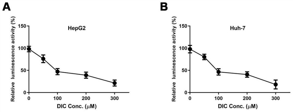 Application of dicoumarol in preparation of HBx protein stability inhibitor