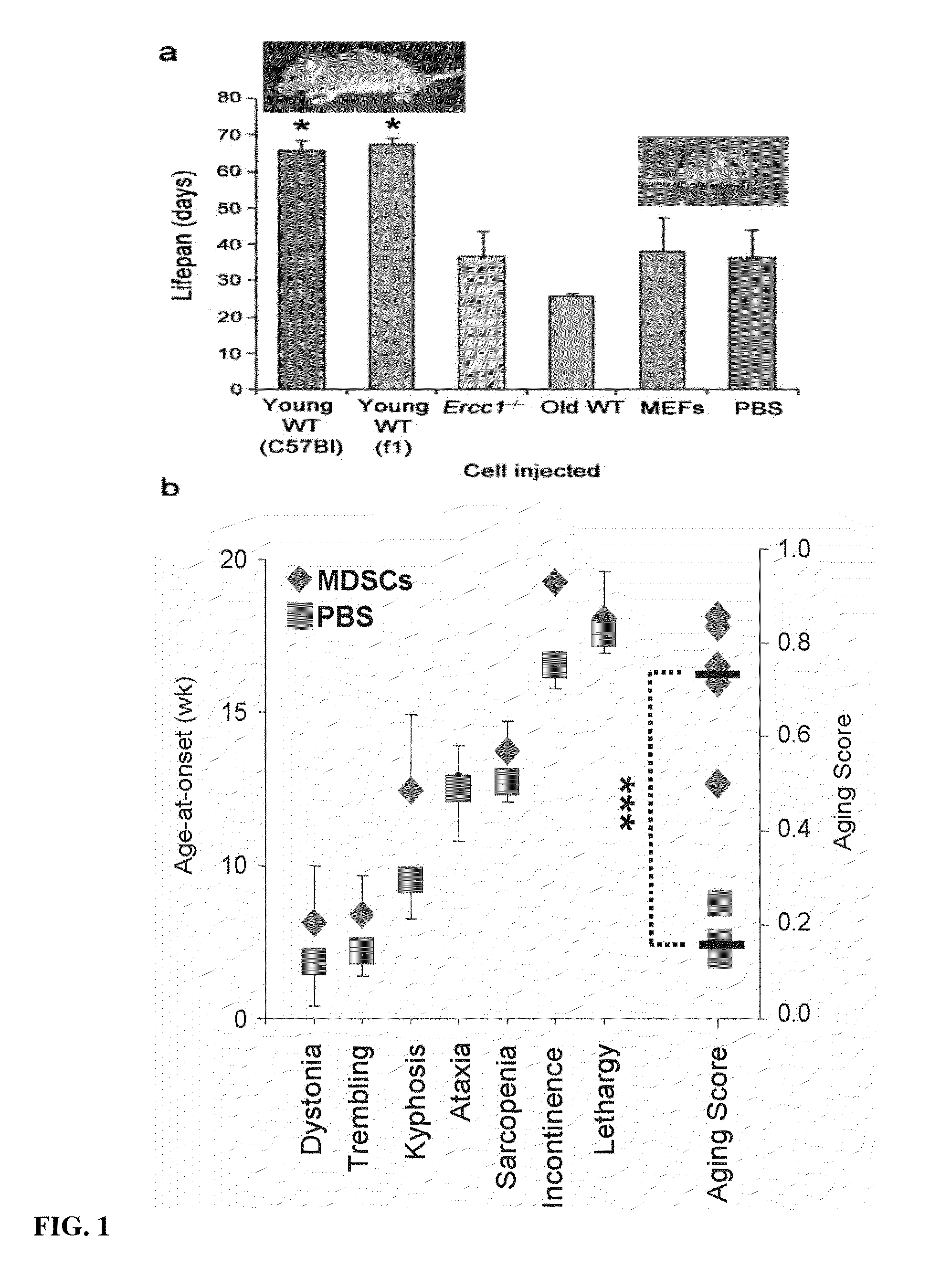 Compositions and methods for restoring or rejuvenating stem/progenitor cell function