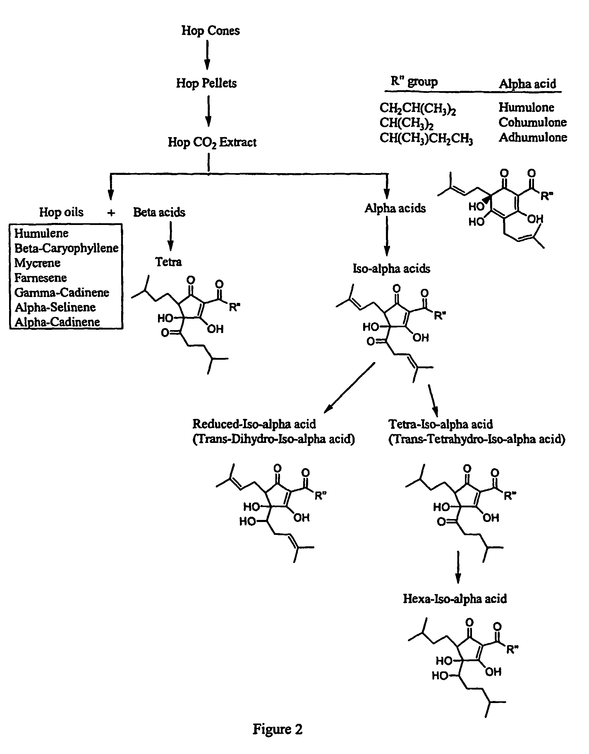 Anti-inflammatory pharmaceutical compositions for reducing inflammation and the treatment or prevention of gastric toxicity
