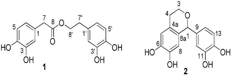 Compound Blapsins A and B, pharmaceutical composition containing the same, and preparation method and application thereof