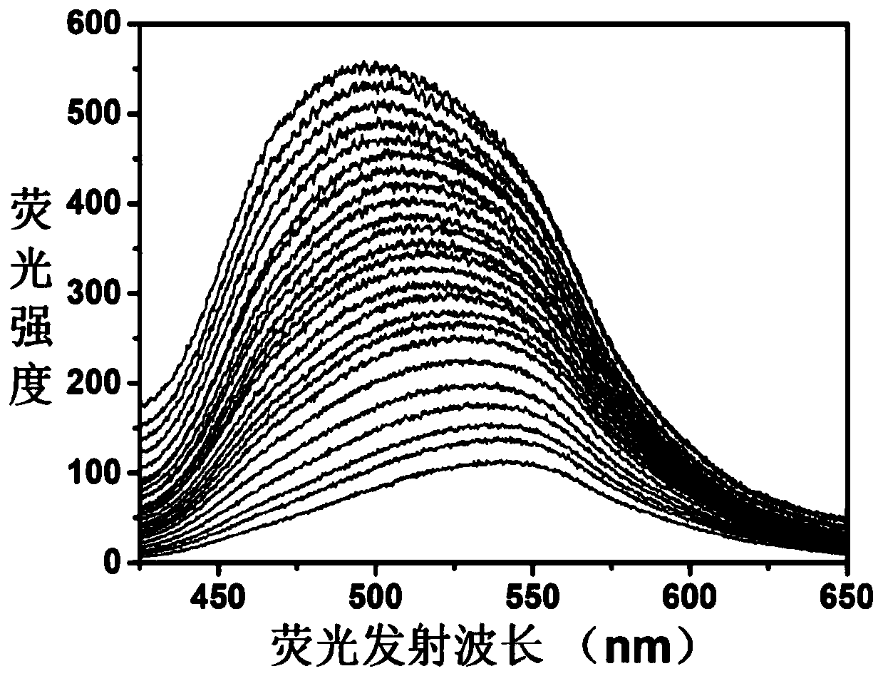 Adenosine monophosphate-protected gold-silver alloy nanocluster fluorescence probe, and application thereof in detection of Plasmodium vivax lactate dehydrogenase