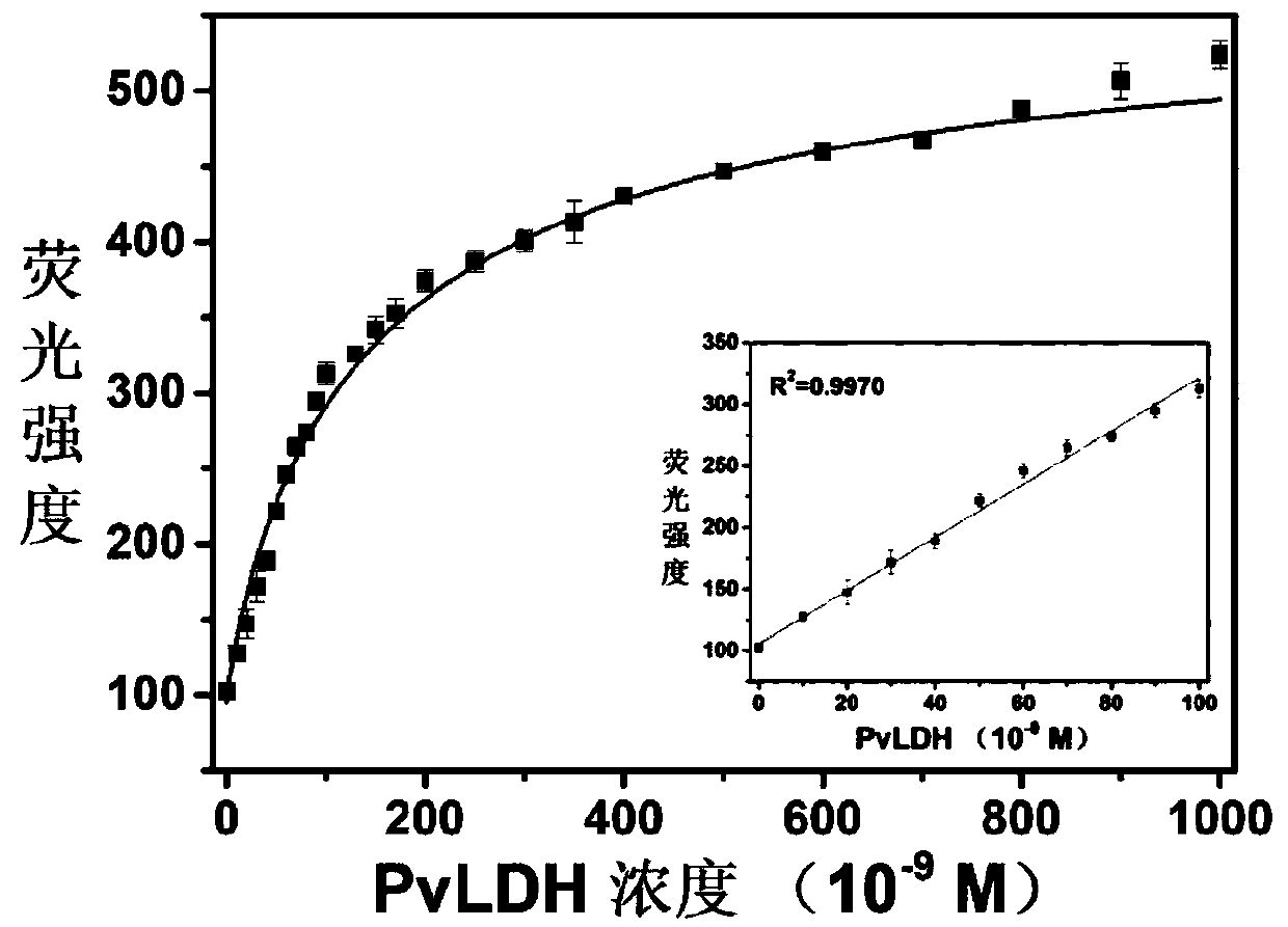 Adenosine monophosphate-protected gold-silver alloy nanocluster fluorescence probe, and application thereof in detection of Plasmodium vivax lactate dehydrogenase