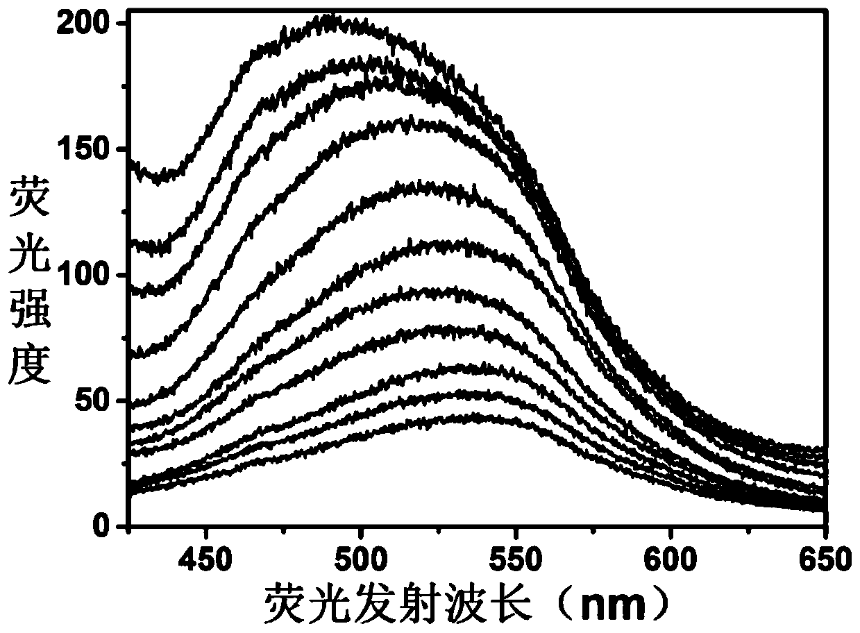 Adenosine monophosphate-protected gold-silver alloy nanocluster fluorescence probe, and application thereof in detection of Plasmodium vivax lactate dehydrogenase