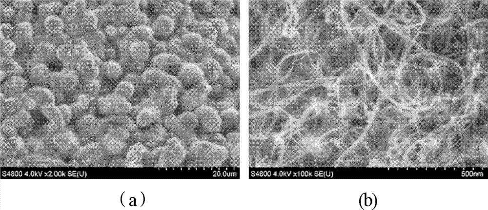 A kind of carbon nanotube/foam silicon carbide catalytic composite material and preparation method thereof