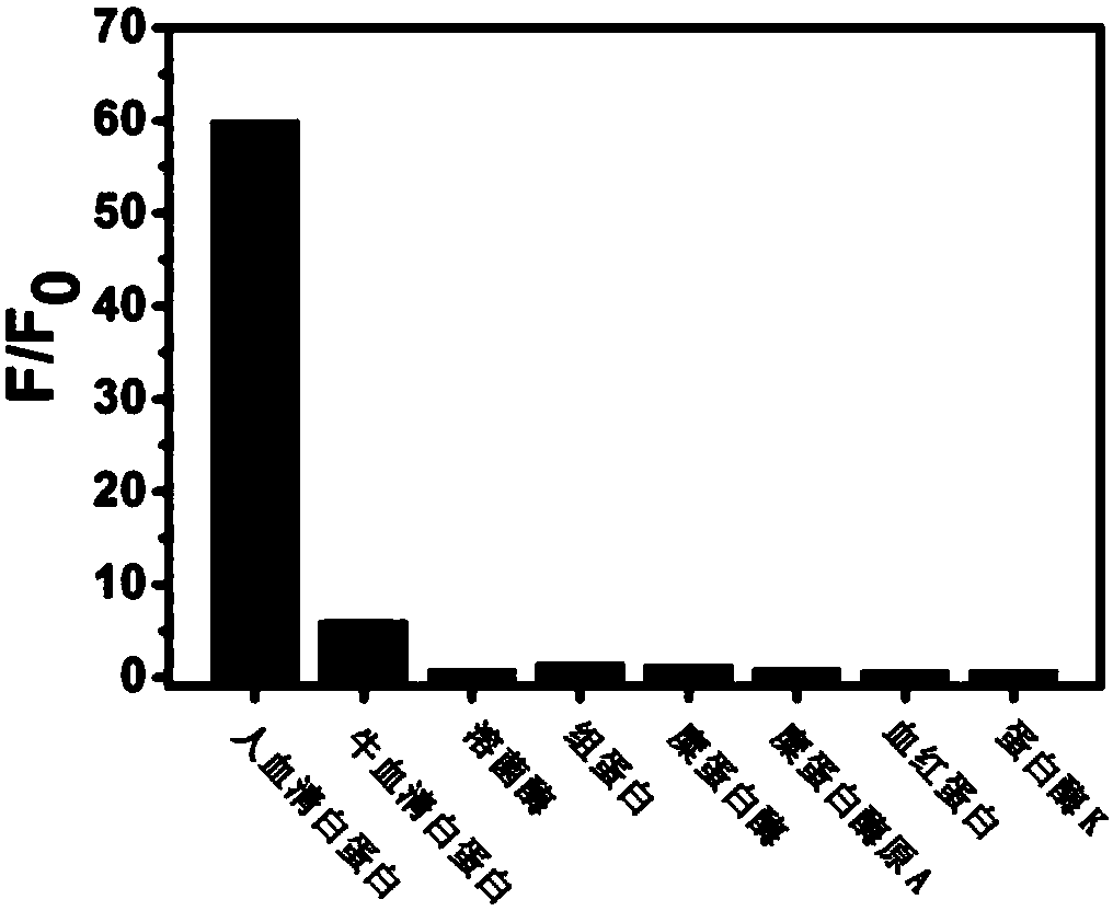 A Class of Small Molecule Fluorescent Probes and Their Applications