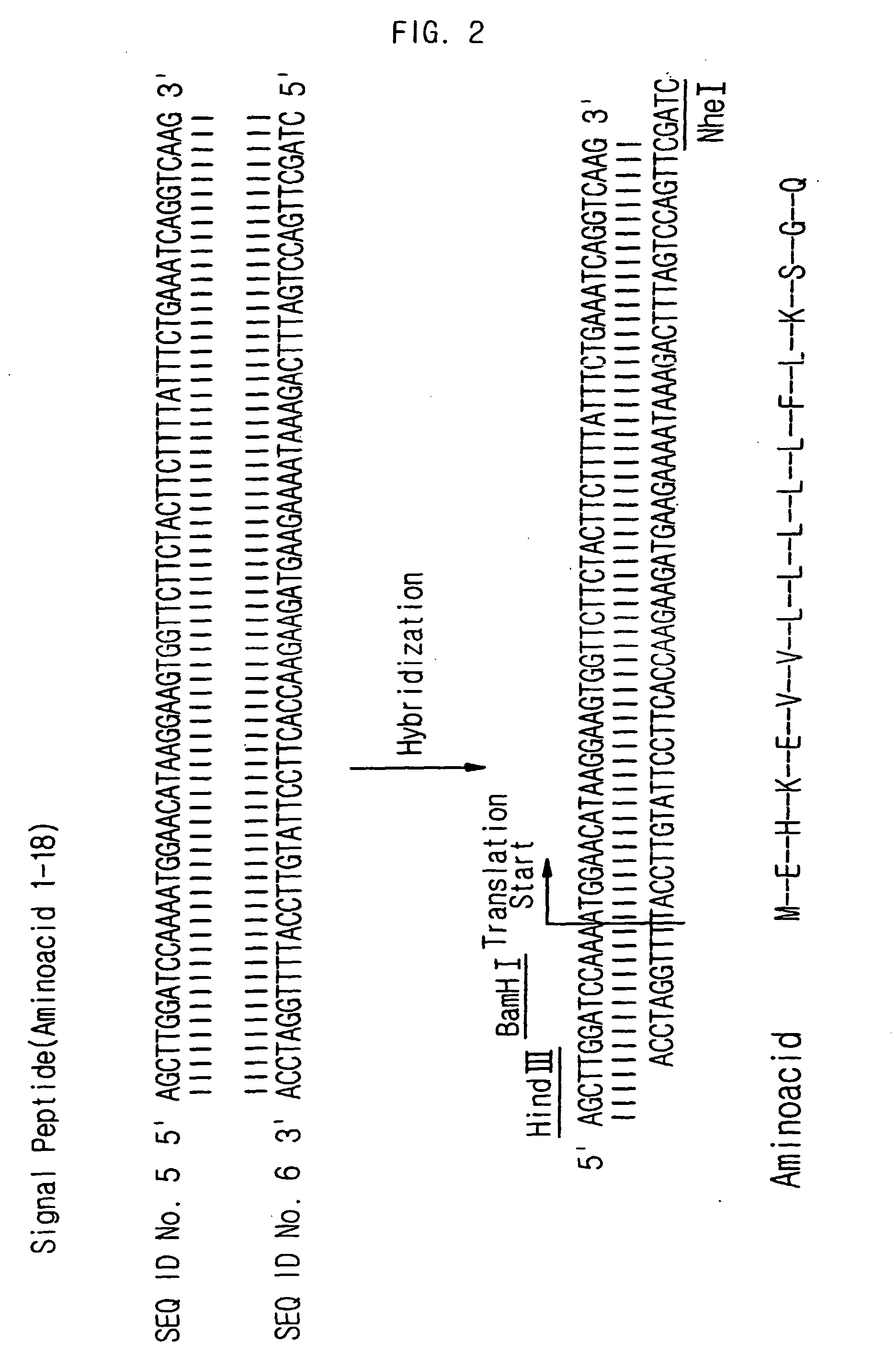 Compositions for gene therapy of rheumatoid arthritis including a gene encoding an anti-angiogenic protein or parts thereof