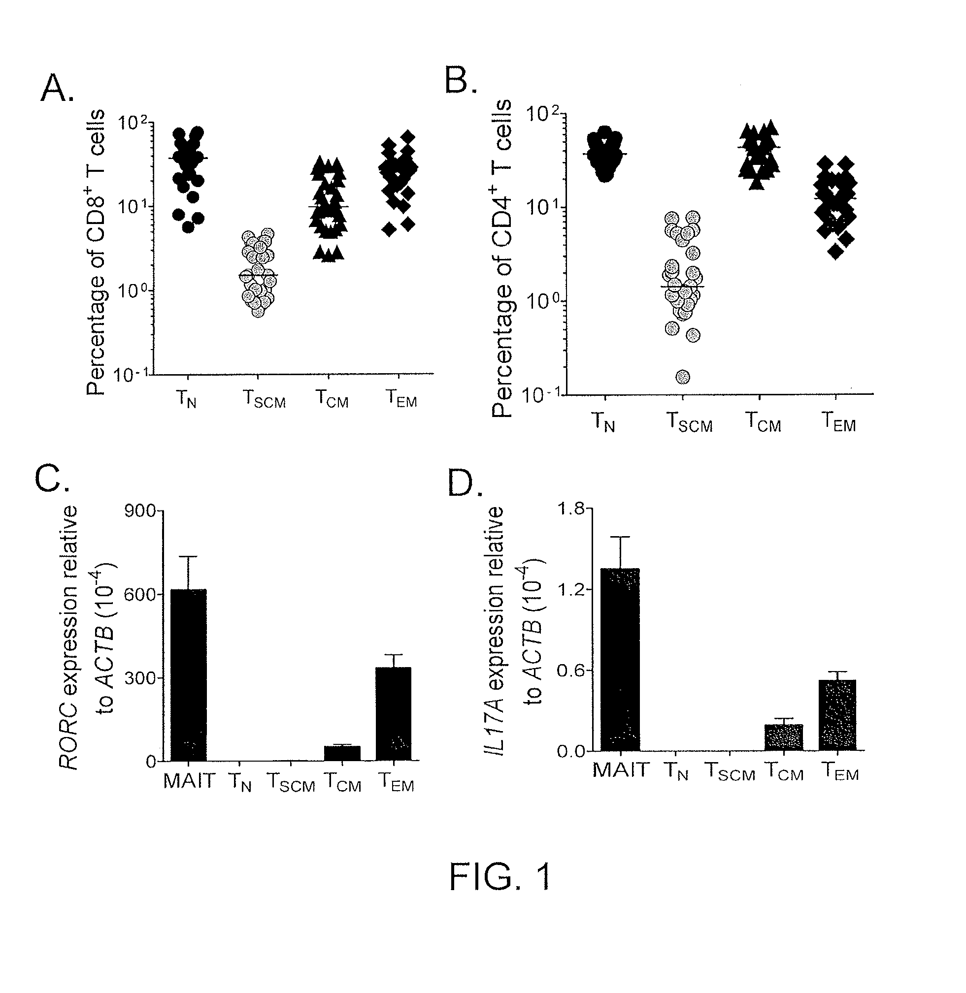 Methods of producing t memory stem cell populations