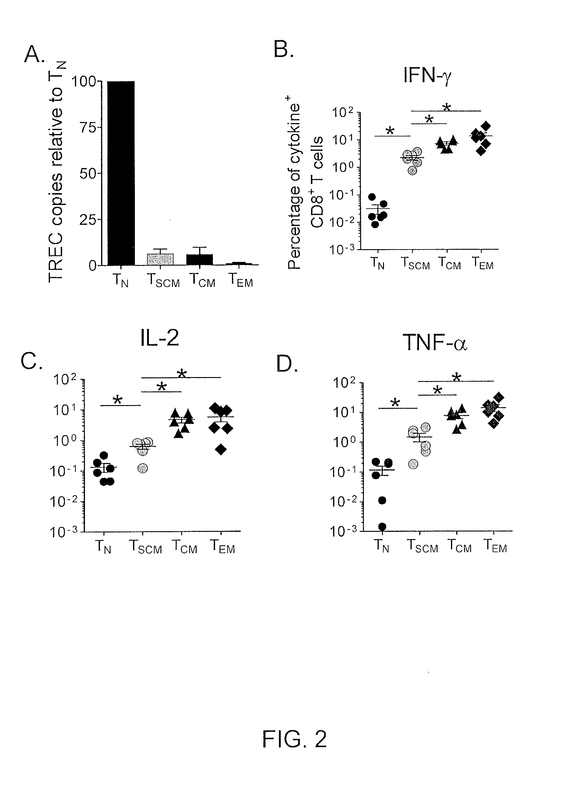 Methods of producing t memory stem cell populations
