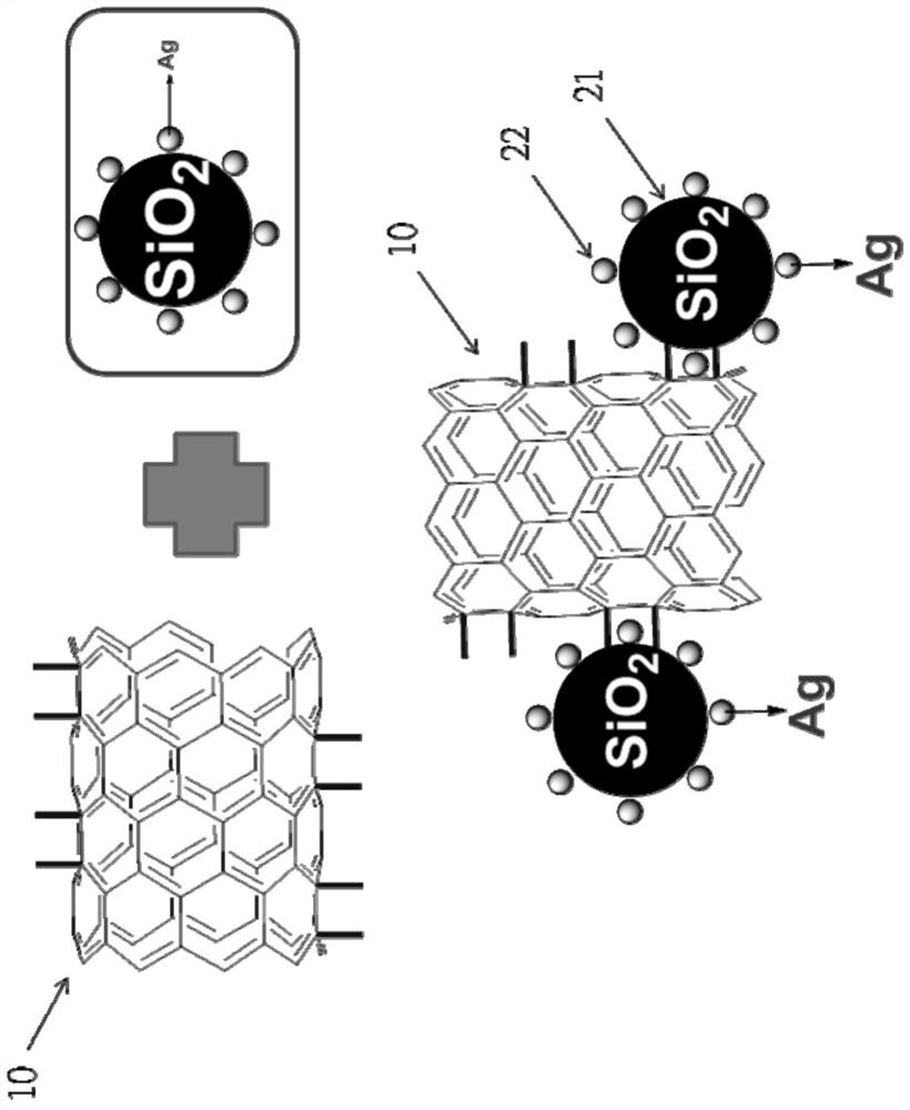Composite structure of carbon nanotubes with silica nanoparticles and silver nanoparticles