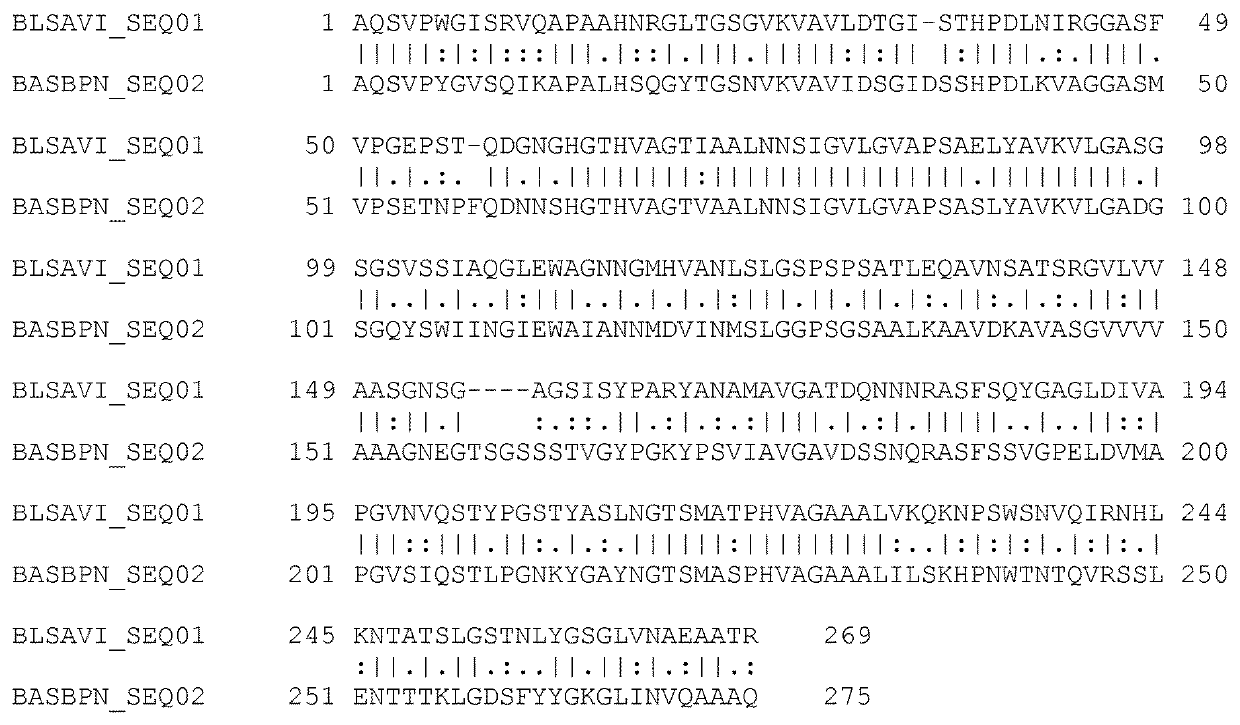 Subtilase variants and polynucleotides encoding same