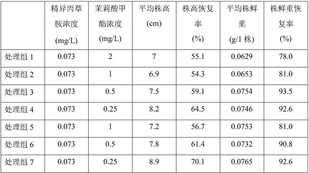 Safe agent and combination agent for damage of amide herbicides to cereal crops