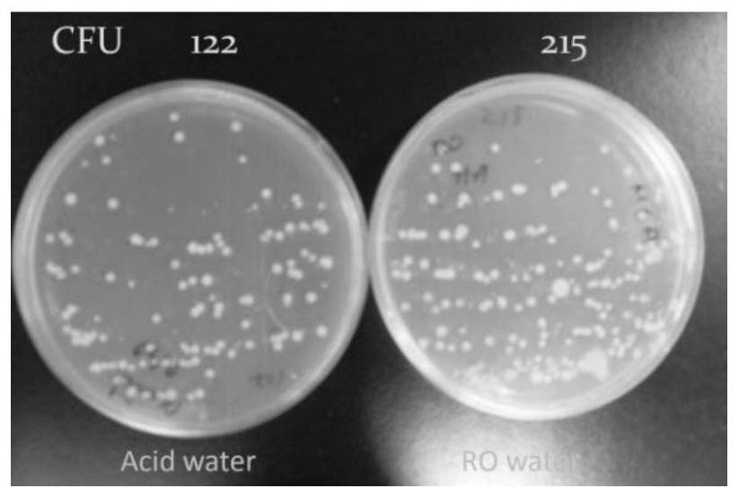 A kind of preparation method of acidic water for cosmetics