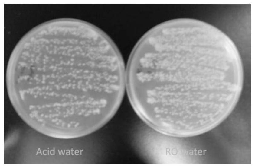 A kind of preparation method of acidic water for cosmetics