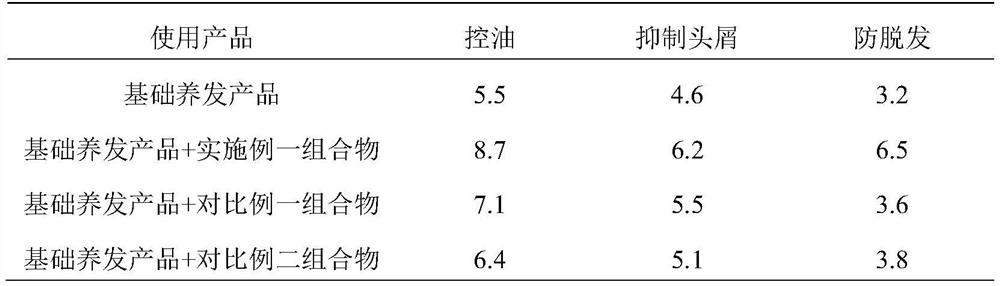 Traditional Chinese medicine scalp care composition as well as preparation method and application thereof