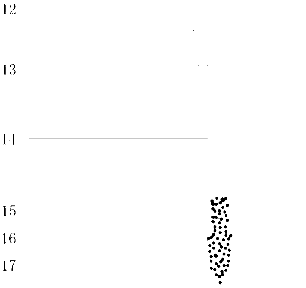 Wedged mixed fertilizing suite for trees and fertilizing method