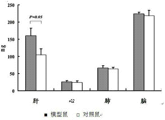 A kind of non-alcoholic fatty liver disease model preparation method