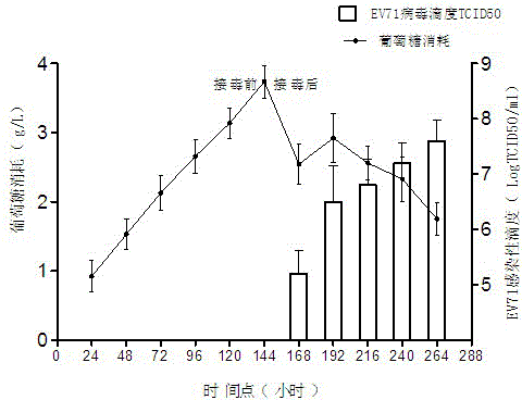 Optimized process method for amplifying enterovirus type 71 by use of bioreactor