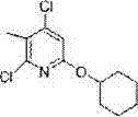 Compound and application thereof in preparation of medicines for preventing/treating autoimmune diseases