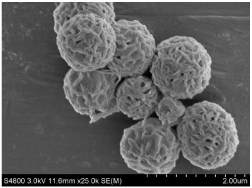 A method for preparing nanowire braided spherical antimony selenide sodium ion battery negative electrode material