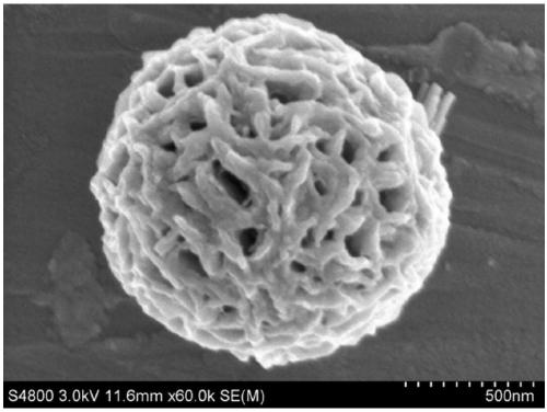 A method for preparing nanowire braided spherical antimony selenide sodium ion battery negative electrode material