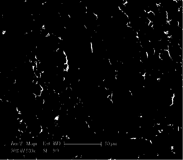 Cellulose absorbent with controllable structure and preparation method thereof