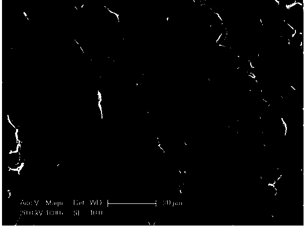 Cellulose absorbent with controllable structure and preparation method thereof